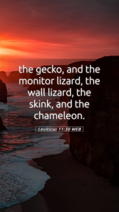 Picture 05 - Leviticus 11:30 WEB Mobile Phone Wallpaper - the gecko, and the monitor lizard, the wall - Mobile Bible Verse Wallpaper