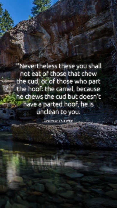 Picture 05 - Leviticus 11:4 WEB Mobile Phone Wallpaper - 