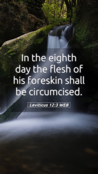 Picture 05 - Leviticus 12:3 WEB Mobile Phone Wallpaper - In the eighth day the flesh of his foreskin shall - Mobile Bible Verse Wallpaper