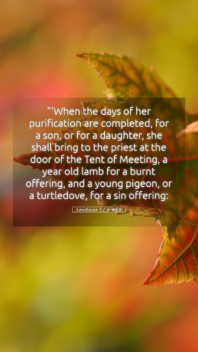 Picture 05 - Leviticus 12:6 WEB Mobile Phone Wallpaper - 