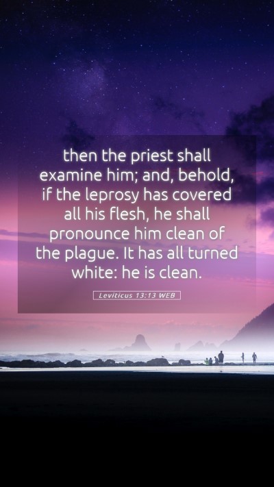 Picture 05 - Leviticus 13:13 WEB Mobile Phone Wallpaper - then the priest shall examine him; and, behold, - Mobile Bible Verse Wallpaper