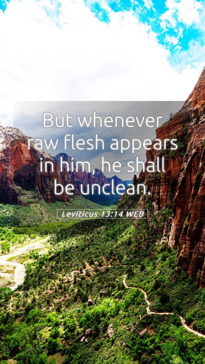 Picture 05 - Leviticus 13:14 WEB Mobile Phone Wallpaper - But whenever raw flesh appears in him, he shall - Mobile Bible Verse Wallpaper