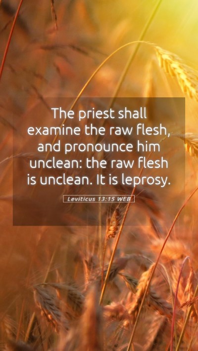 Picture 05 - Leviticus 13:15 WEB Mobile Phone Wallpaper - The priest shall examine the raw flesh, and - Mobile Bible Verse Wallpaper