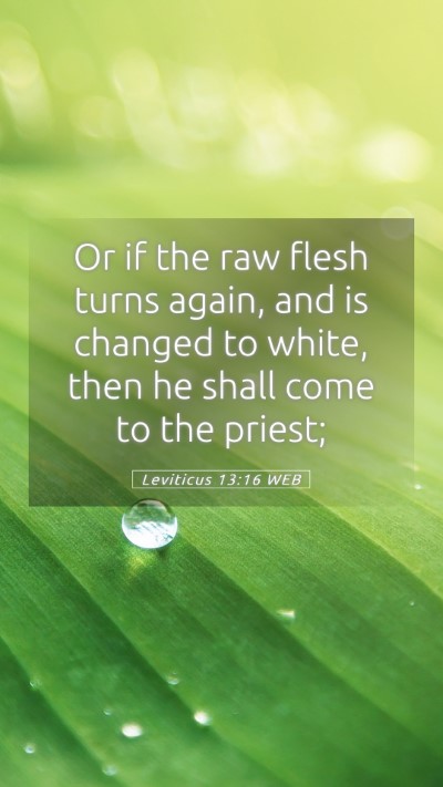 Picture 05 - Leviticus 13:16 WEB Mobile Phone Wallpaper - Or if the raw flesh turns again, and is changed - Mobile Bible Verse Wallpaper