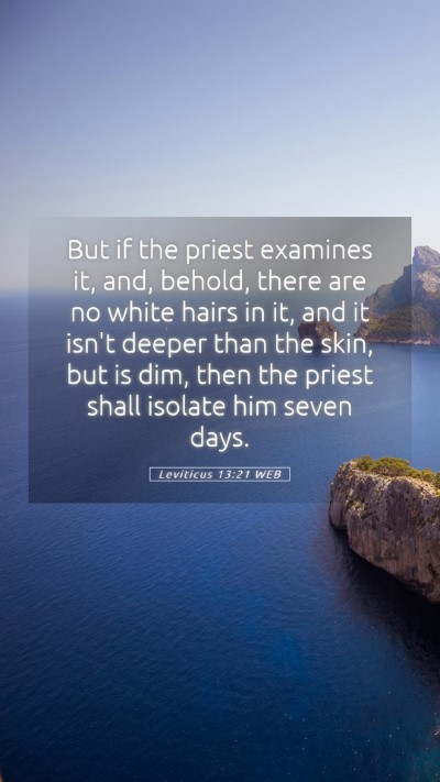 Picture 05 - Leviticus 13:21 WEB Mobile Phone Wallpaper - But if the priest examines it, and, behold, there - Mobile Bible Verse Wallpaper