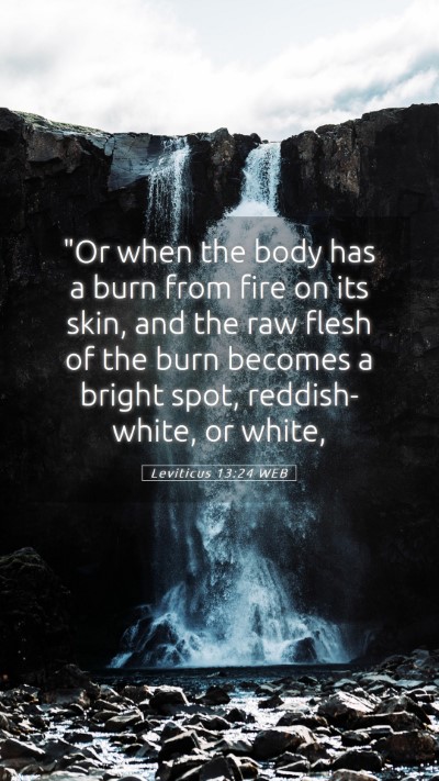 Picture 05 - Leviticus 13:24 WEB Mobile Phone Wallpaper - 