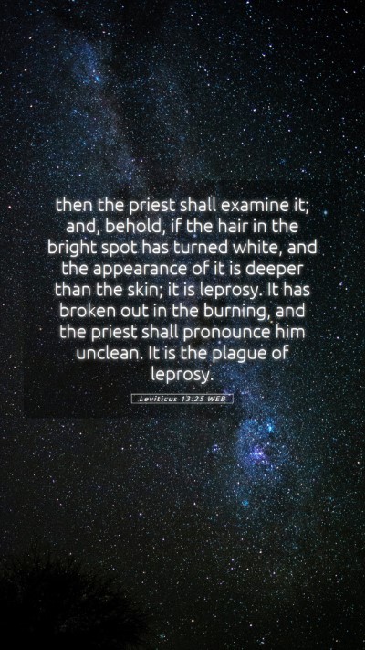 Picture 05 - Leviticus 13:25 WEB Mobile Phone Wallpaper - then the priest shall examine it; and, behold, if - Mobile Bible Verse Wallpaper