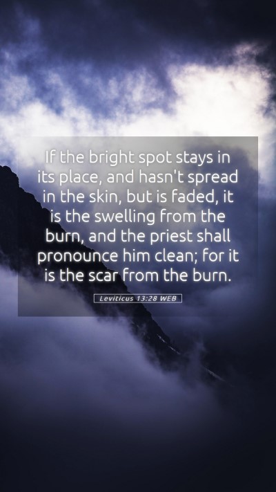 Picture 05 - Leviticus 13:28 WEB Mobile Phone Wallpaper - If the bright spot stays in its place, and hasn't - Mobile Bible Verse Wallpaper
