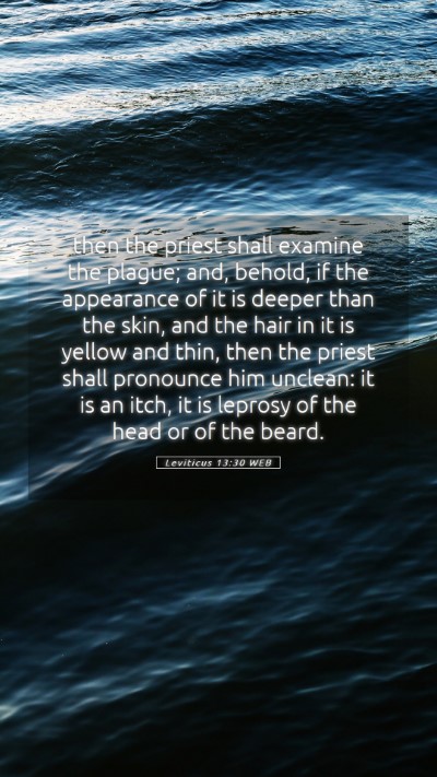 Picture 05 - Leviticus 13:30 WEB Mobile Phone Wallpaper - then the priest shall examine the plague; and, - Mobile Bible Verse Wallpaper