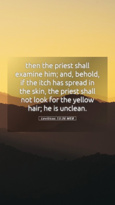 Picture 05 - Leviticus 13:36 WEB Mobile Phone Wallpaper - then the priest shall examine him; and, behold, - Mobile Bible Verse Wallpaper