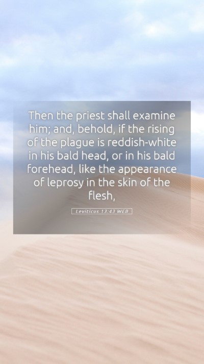 Picture 05 - Leviticus 13:43 WEB Mobile Phone Wallpaper - Then the priest shall examine him; and, behold, - Mobile Bible Verse Wallpaper