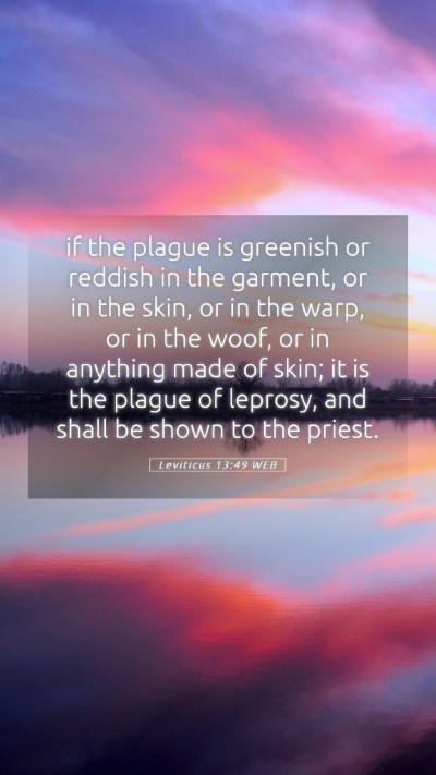 Picture 05 - Leviticus 13:49 WEB Mobile Phone Wallpaper - if the plague is greenish or reddish in the - Mobile Bible Verse Wallpaper