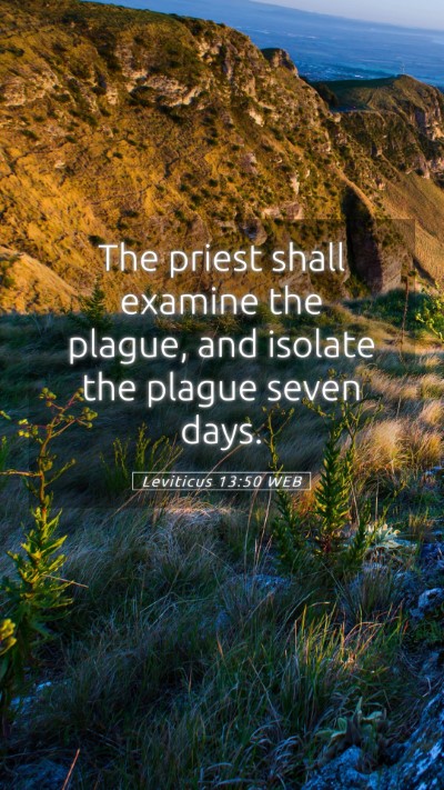 Picture 05 - Leviticus 13:50 WEB Mobile Phone Wallpaper - The priest shall examine the plague, and isolate - Mobile Bible Verse Wallpaper