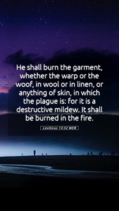 Picture 05 - Leviticus 13:52 WEB Mobile Phone Wallpaper - He shall burn the garment, whether the warp or - Mobile Bible Verse Wallpaper