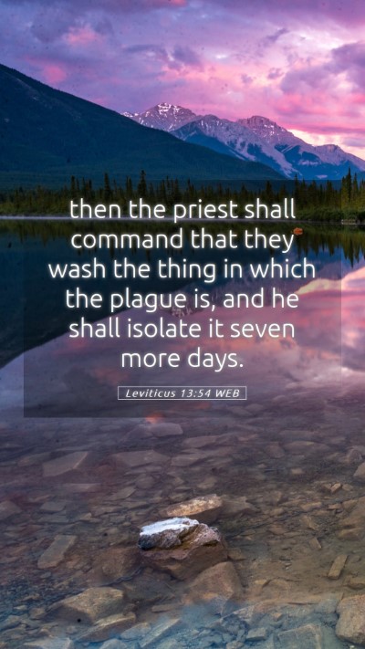Picture 05 - Leviticus 13:54 WEB Mobile Phone Wallpaper - then the priest shall command that they wash the - Mobile Bible Verse Wallpaper