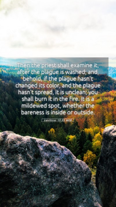 Picture 05 - Leviticus 13:55 WEB Mobile Phone Wallpaper - Then the priest shall examine it, after the - Mobile Bible Verse Wallpaper
