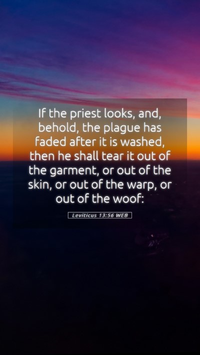 Picture 05 - Leviticus 13:56 WEB Mobile Phone Wallpaper - If the priest looks, and, behold, the plague has - Mobile Bible Verse Wallpaper