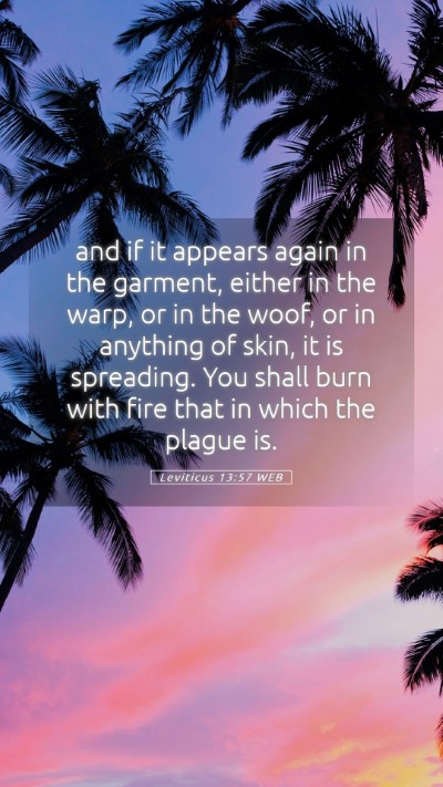 Picture 05 - Leviticus 13:57 WEB Mobile Phone Wallpaper - and if it appears again in the garment, either in - Mobile Bible Verse Wallpaper