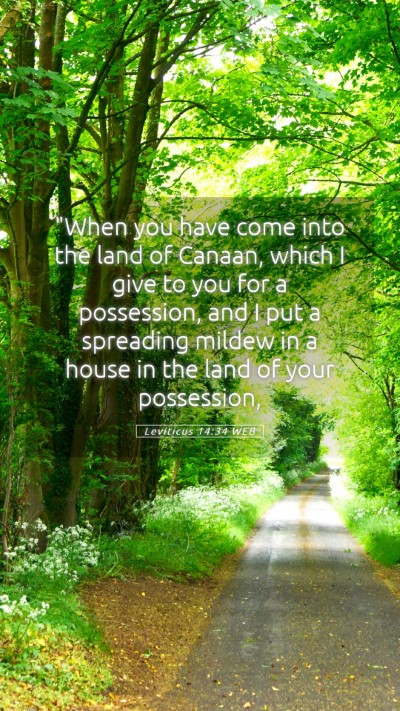 Picture 05 - Leviticus 14:34 WEB Mobile Phone Wallpaper - 
