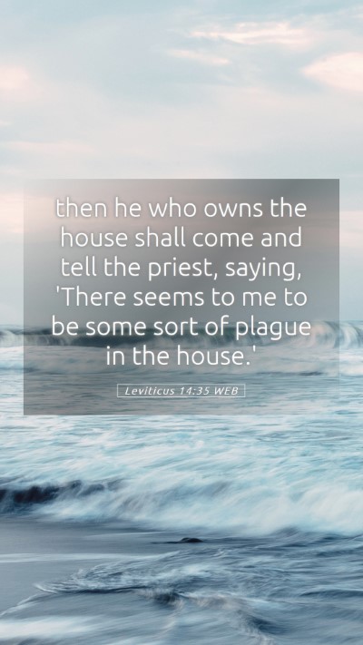 Picture 05 - Leviticus 14:35 WEB Mobile Phone Wallpaper - then he who owns the house shall come and tell - Mobile Bible Verse Wallpaper
