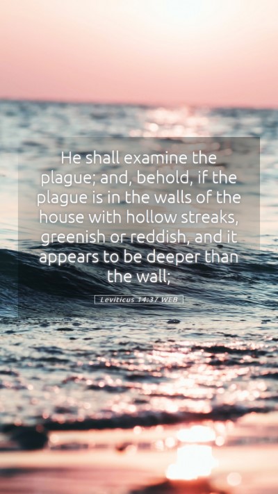 Picture 05 - Leviticus 14:37 WEB Mobile Phone Wallpaper - He shall examine the plague; and, behold, if the - Mobile Bible Verse Wallpaper
