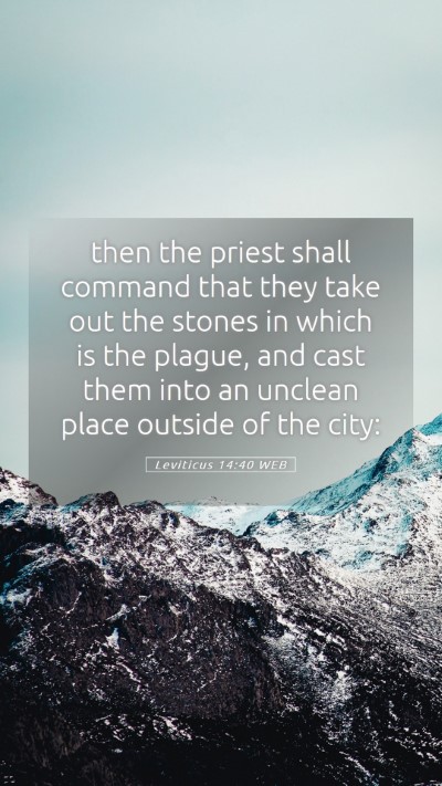 Picture 05 - Leviticus 14:40 WEB Mobile Phone Wallpaper - then the priest shall command that they take out - Mobile Bible Verse Wallpaper