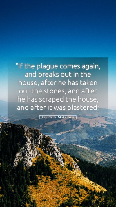 Picture 05 - Leviticus 14:43 WEB Mobile Phone Wallpaper - 