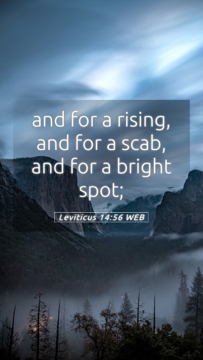 Picture 05 - Leviticus 14:56 WEB Mobile Phone Wallpaper - and for a rising, and for a scab, and for a - Mobile Bible Verse Wallpaper