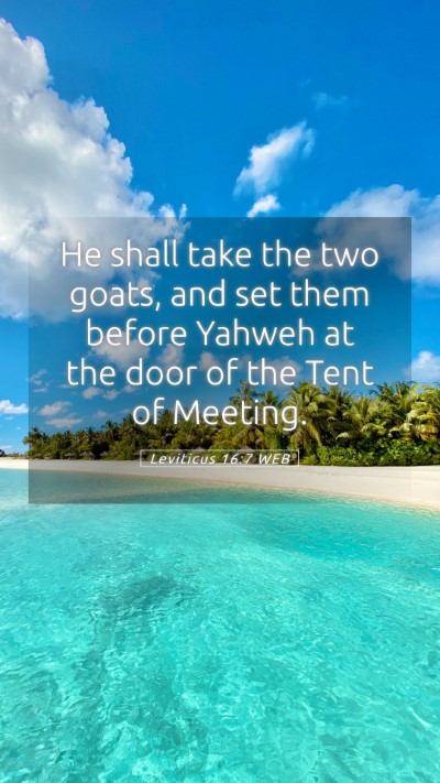 Picture 05 - Leviticus 16:7 WEB Mobile Phone Wallpaper - He shall take the two goats, and set them before - Mobile Bible Verse Wallpaper