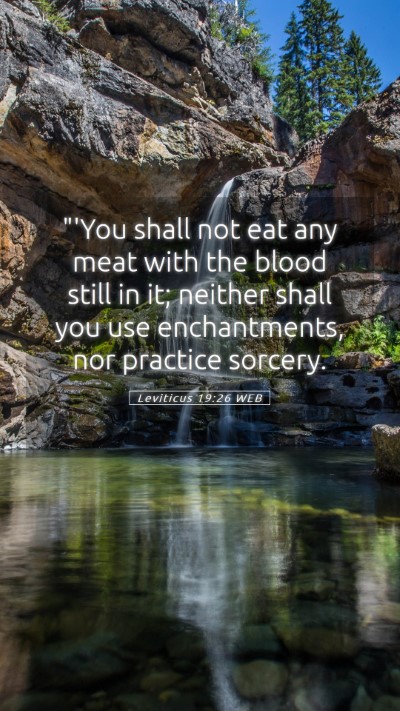 Picture 05 - Leviticus 19:26 WEB Mobile Phone Wallpaper - 