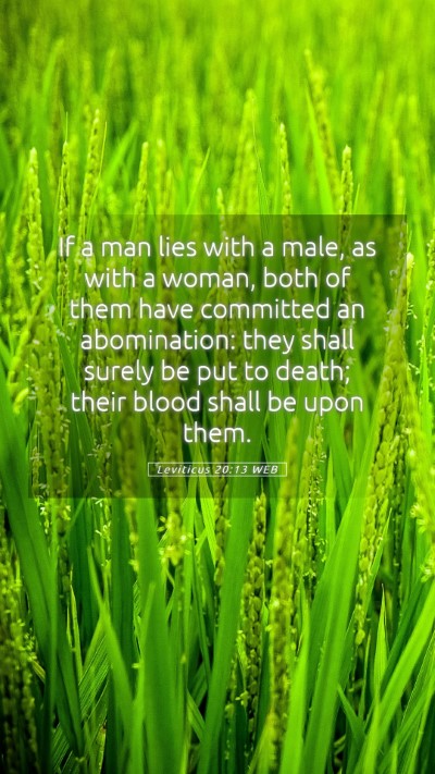 Picture 05 - Leviticus 20:13 WEB Mobile Phone Wallpaper - If a man lies with a male, as with a woman, both - Mobile Bible Verse Wallpaper