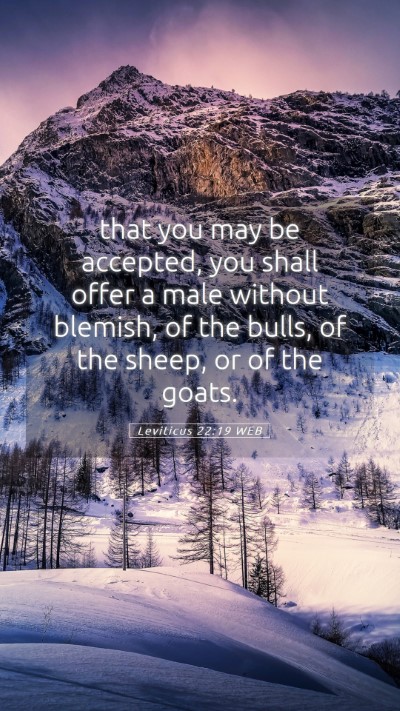 Picture 05 - Leviticus 22:19 WEB Mobile Phone Wallpaper - that you may be accepted, you shall offer a male - Mobile Bible Verse Wallpaper