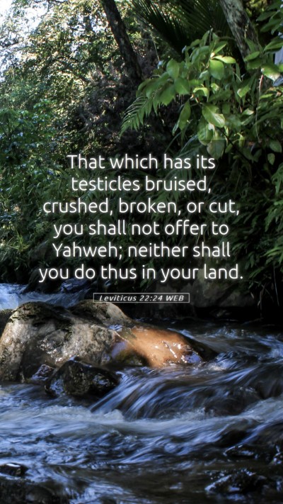Picture 05 - Leviticus 22:24 WEB Mobile Phone Wallpaper - That which has its testicles bruised, crushed, - Mobile Bible Verse Wallpaper