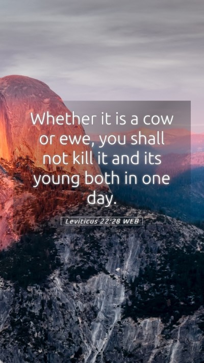 Picture 05 - Leviticus 22:28 WEB Mobile Phone Wallpaper - Whether it is a cow or ewe, you shall not kill it - Mobile Bible Verse Wallpaper