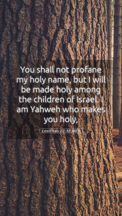 Picture 05 - Leviticus 22:32 WEB Mobile Phone Wallpaper - You shall not profane my holy name, but I will be - Mobile Bible Verse Wallpaper