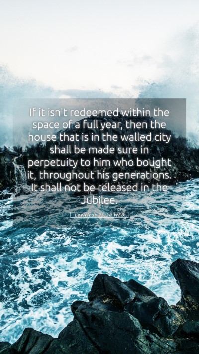 Picture 05 - Leviticus 25:30 WEB Mobile Phone Wallpaper - If it isn't redeemed within the space of a full - Mobile Bible Verse Wallpaper