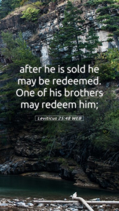 Picture 05 - Leviticus 25:48 WEB Mobile Phone Wallpaper - after he is sold he may be redeemed. One of his - Mobile Bible Verse Wallpaper