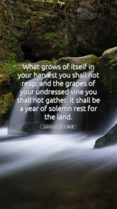 Picture 05 - Leviticus 25:5 WEB Mobile Phone Wallpaper - What grows of itself in your harvest you shall - Mobile Bible Verse Wallpaper