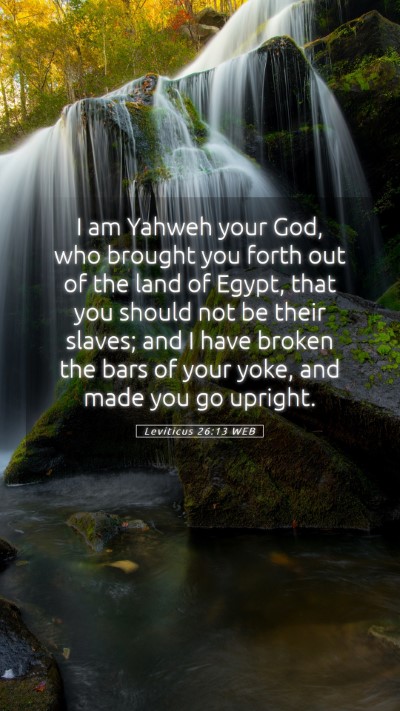 Picture 05 - Leviticus 26:13 WEB Mobile Phone Wallpaper - I am Yahweh your God, who brought you forth out - Mobile Bible Verse Wallpaper