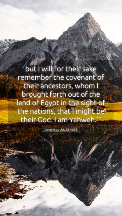 Picture 05 - Leviticus 26:45 WEB Mobile Phone Wallpaper - but I will for their sake remember the covenant - Mobile Bible Verse Wallpaper