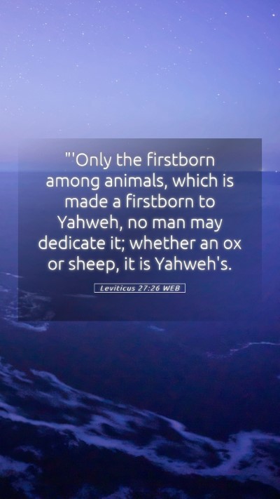 Picture 05 - Leviticus 27:26 WEB Mobile Phone Wallpaper - 