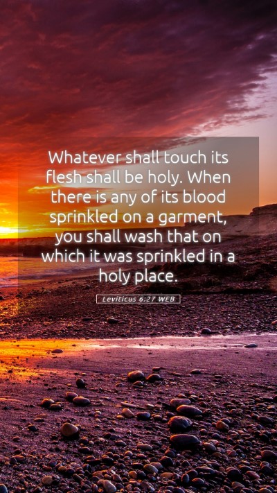 Picture 05 - Leviticus 6:27 WEB Mobile Phone Wallpaper - Whatever shall touch its flesh shall be holy. - Mobile Bible Verse Wallpaper