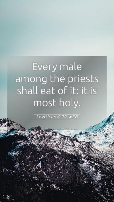 Picture 05 - Leviticus 6:29 WEB Mobile Phone Wallpaper - Every male among the priests shall eat of it: it - Mobile Bible Verse Wallpaper
