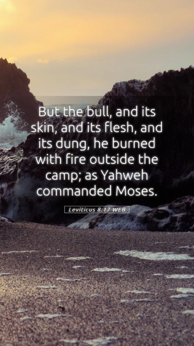 Picture 05 - Leviticus 8:17 WEB Mobile Phone Wallpaper - But the bull, and its skin, and its flesh, and - Mobile Bible Verse Wallpaper