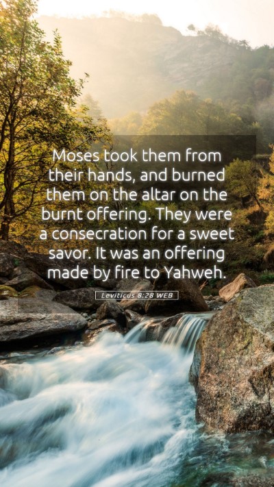 Picture 05 - Leviticus 8:28 WEB Mobile Phone Wallpaper - Moses took them from their hands, and burned them - Mobile Bible Verse Wallpaper