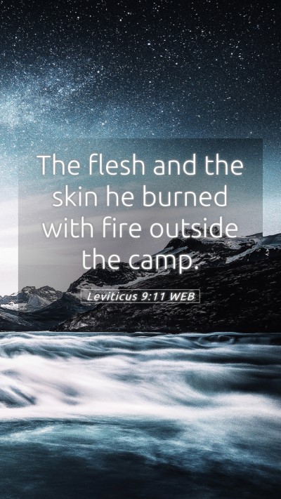 Picture 05 - Leviticus 9:11 WEB Mobile Phone Wallpaper - The flesh and the skin he burned with fire - Mobile Bible Verse Wallpaper