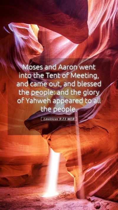 Picture 05 - Leviticus 9:23 WEB Mobile Phone Wallpaper - Moses and Aaron went into the Tent of Meeting, - Mobile Bible Verse Wallpaper