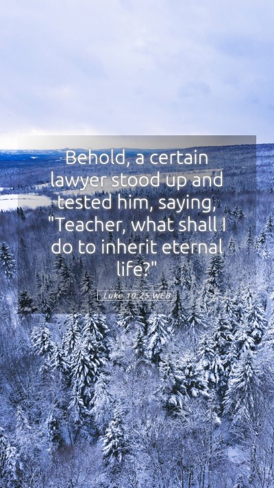 Picture 05 - Luke 10:25 WEB Mobile Phone Wallpaper - Behold, a certain lawyer stood up and tested him, - Mobile Bible Verse Wallpaper