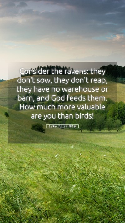 Picture 05 - Luke 12:24 WEB Mobile Phone Wallpaper - Consider the ravens: they don't sow, they don't - Mobile Bible Verse Wallpaper