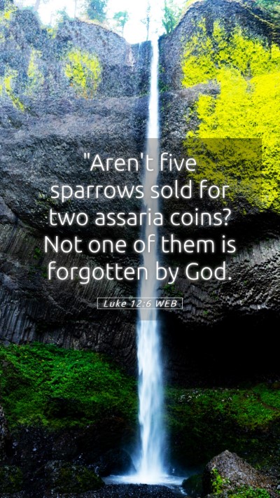 Picture 05 - Luke 12:6 WEB Mobile Phone Wallpaper - 